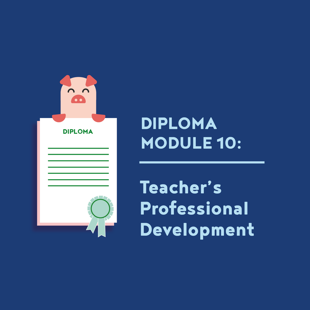 HEI Schools Teacher Diploma